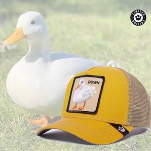 Goorin Bros - “Down” Limited Circulation